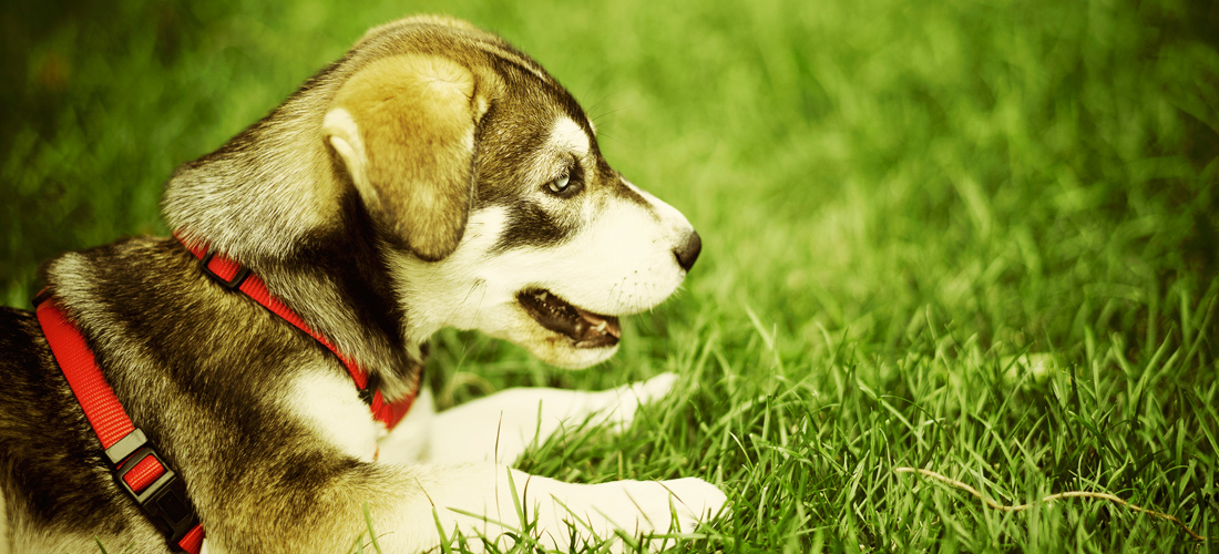 在线DDOS压力测试网页端